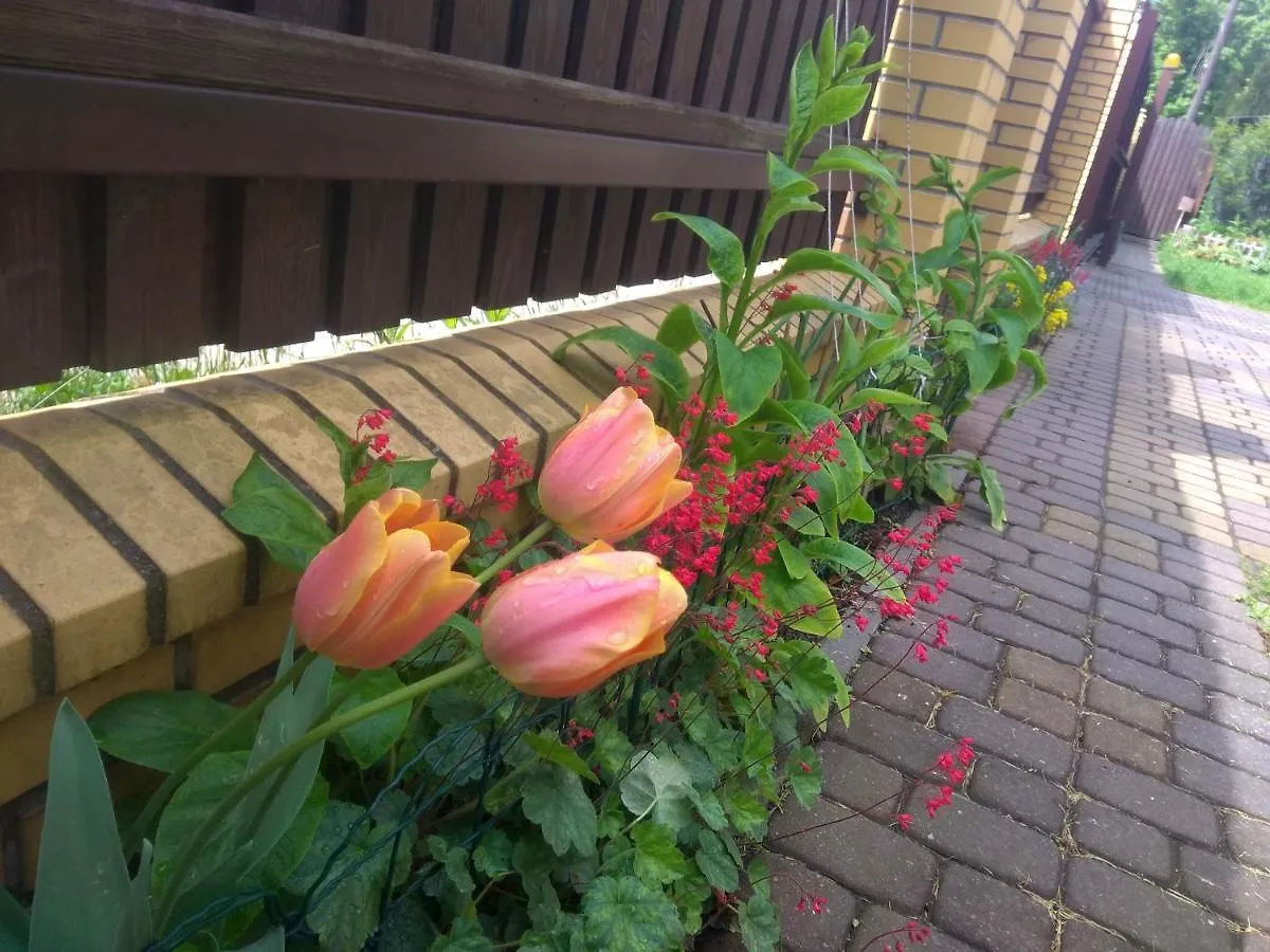 Sloneczny Apartament Z Balkonem Apartment Gdansk-Oliwa Poland